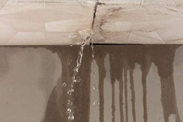 Professional Burst Pipe Cleanup technician working in Cascade, CO